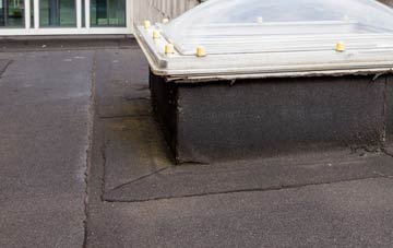 disadvantages of Horsell Birch flat roofs