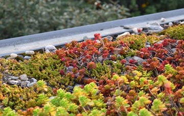 the cost of Horsell Birch green roof installation