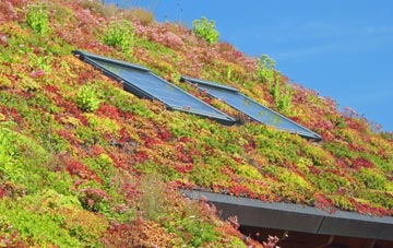 Horsell Birch living roof systems